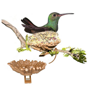 Hummingbird Nesting Pods, 2 Pack, showing a bird on a nest, designed for easy branch attachment to attract and support hummingbird nesting.