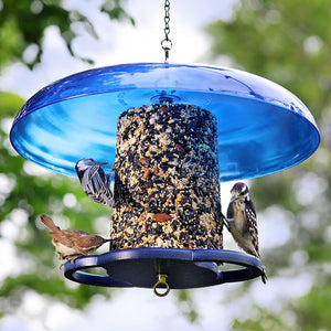 Duncraft Blue Baffled Seed Cylinder Feeder with birds perched on circular perches, featuring a blue base and squirrel baffle, designed for 360-degree feeding.