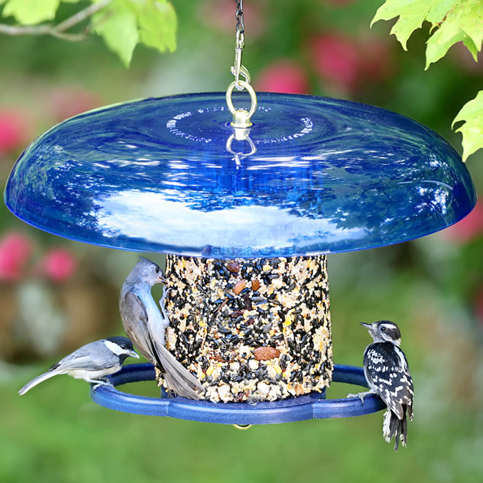 Duncraft Blue Baffled Seed Cylinder Feeder