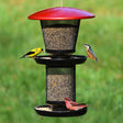 No/No Multi-Seed Wild Bird Feeder with dual-level trays, metal mesh design, and built-in hanger, accommodating various bird species for feeding.