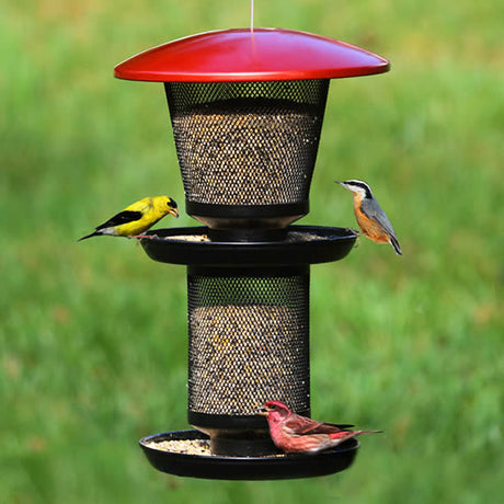 No/No Multi-Seed Wild Bird Feeder with dual-level trays, metal mesh design, and built-in hanger, accommodating various bird species for feeding.