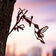 Metal Hummingbird silhouette in Corten Steel, perfectly capturing the Ruby-Throated species, perched on a tree branch, enhancing garden charm with weathering patina.