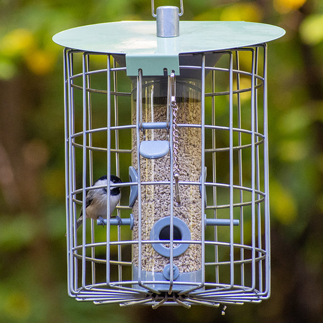 The Nuttery Roundhaus Seed Feeder, Celadon Green, with a bird feeding inside, features a rugged metal design and easy-to-clean hopper.