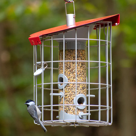 The Nuttery Roundhaus Seed Feeder, Red, with a rugged metal build, features a bird perched on it, highlighting its bird-attracting design.