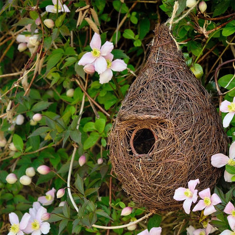 Hanging Roosting Nest Pocket for Small Birds made from twigs with a circular entrance and overhang roof, nestled among outdoor foliage.