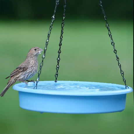 Nature's Way Combo Café 2-in-1 Recycled Plastic Bird Feeder and Bird Bath