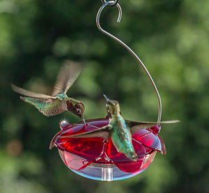 Droll Yankees Ruby Sipper Hanging Feeder with three feeding ports, showcasing a couple of hummingbirds feeding and flying around the clear dish feeder.