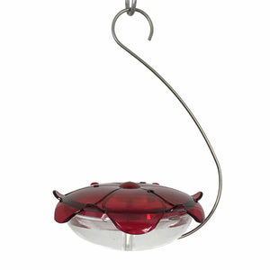 Droll Yankees Ruby Sipper Hanging Feeder with red flower design, clear nectar dish, and three feeding ports. Easy to clean and hang with stainless steel hanger.