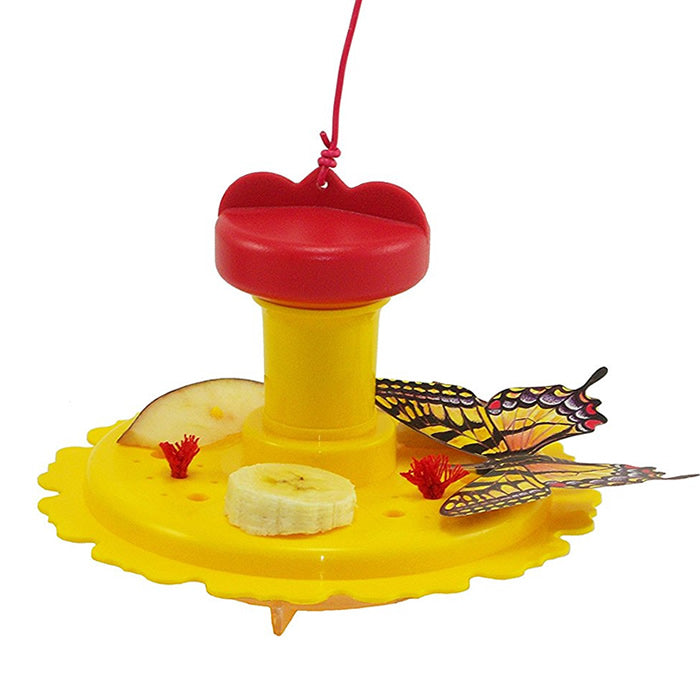 Butterfly Feeder with banana slice and nectar wicks in a yellow container, designed to attract and nourish butterflies with multiple feeding stations.