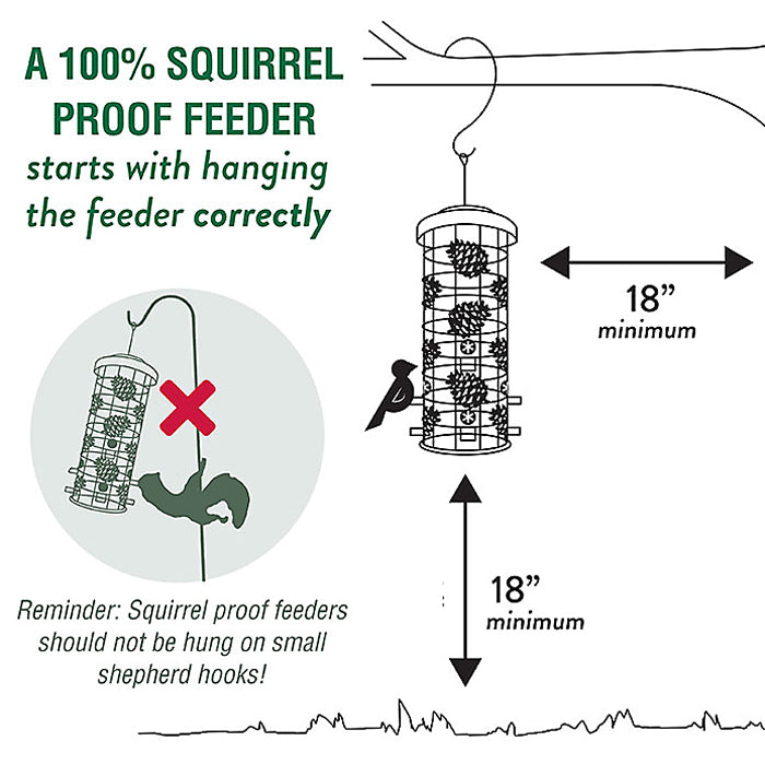 Perky-Pet Squirrel-Be-Gone Max Pinecone Feeder diagram showing weight-activated shroud and six perches, preventing squirrels from accessing seed.