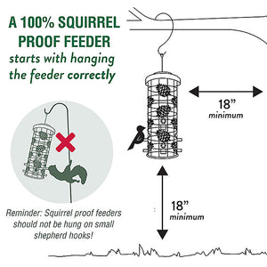 Perky-Pet Squirrel-Be-Gone Max Pinecone Feeder diagram showing weight-activated shroud and six perches, preventing squirrels from accessing seed.