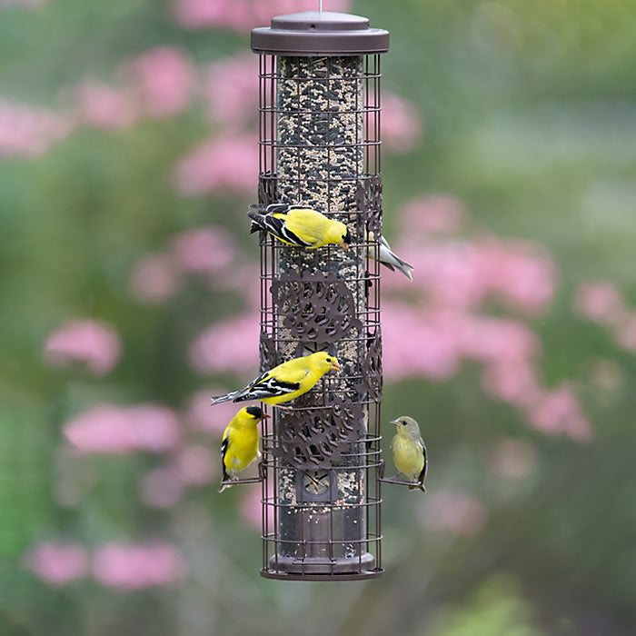 Perky-Pet Squirrel-Be-Gone Max Pinecone Feeder with birds feeding, featuring weight-activated seed ports and a locking lid to prevent squirrel access.