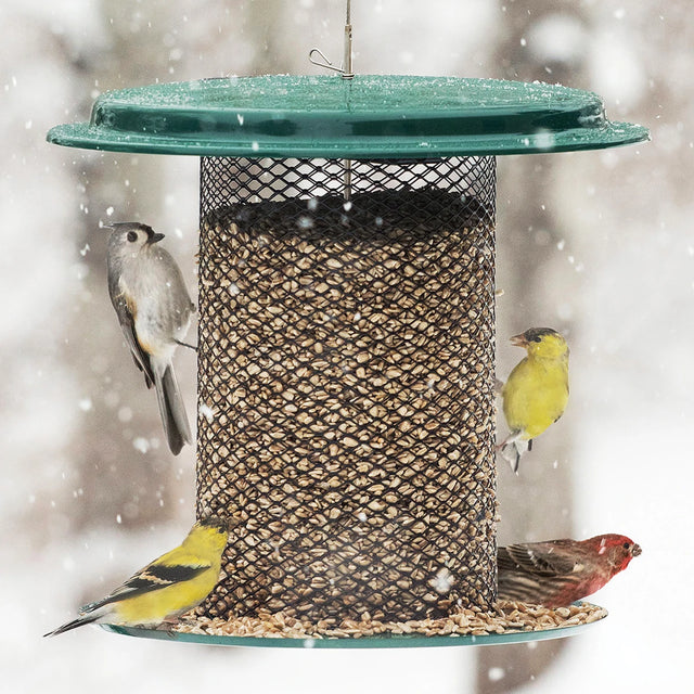 Magnet Mesh 5 Quart Sunflower Feeder with birds feeding on it in snowy outdoor setting. Features patented mesh design and built-in seed diverter.