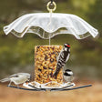 BirdsChoice Seed Cylinder Feeder with clear acrylic roof, metal perches, and seed tray. Woodpeckers and finches feeding from the feeder.