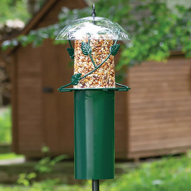 BirdsChoice Pole Mounted Seed Cylinder Feeder with a clear dome, decorative leaf ring, and squirrel baffle, designed to keep seed dry and attract various birds.