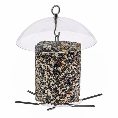 BirdsChoice Seed Cylinder Feeder with Dome, featuring a clear acrylic container, six metal perches, and an eye hook for easy hanging.