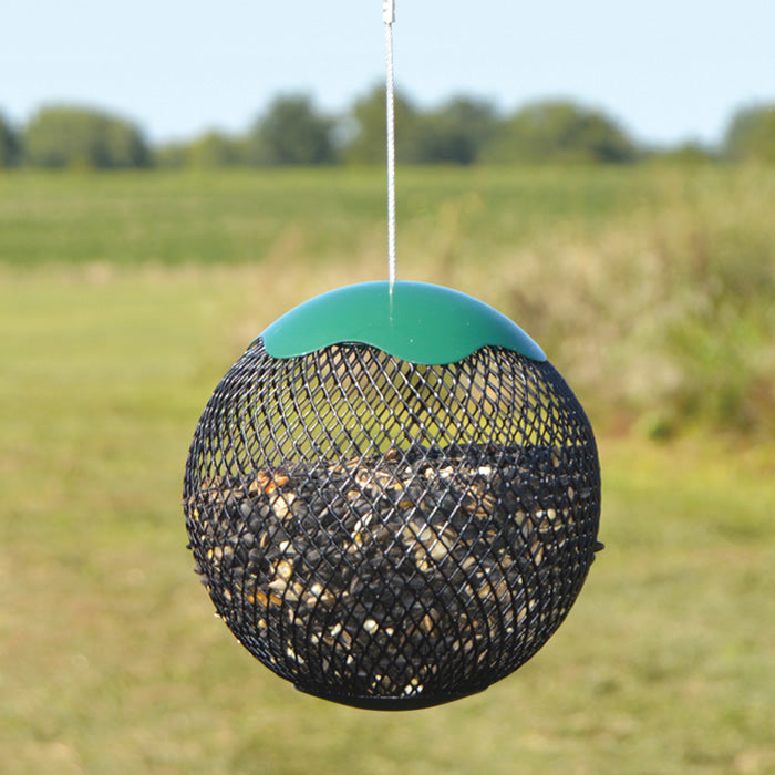 Hanging Seed Sphere bird feeder with wire mesh ball, clinging design, and top-fill green cap. Suitable for year-round feeding and easy cleaning.