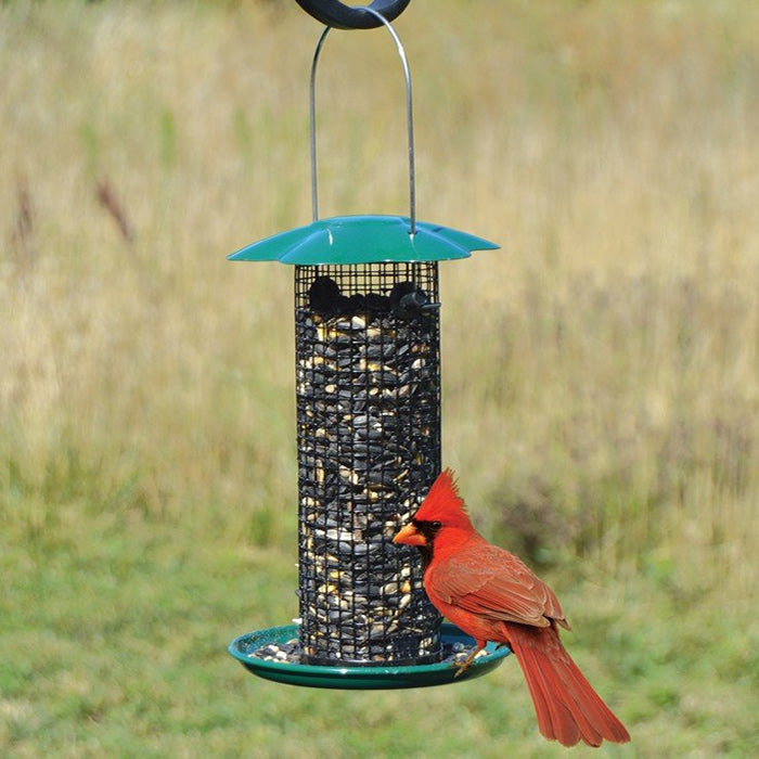 Petite Green Sunflower Feeder with a red bird perched on it, featuring a wire mesh and feeding tray for attracting smaller birds.