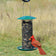 Petite Green Sunflower Feeder with a red bird perched on it, featuring a wire mesh and feeding tray for attracting smaller birds.