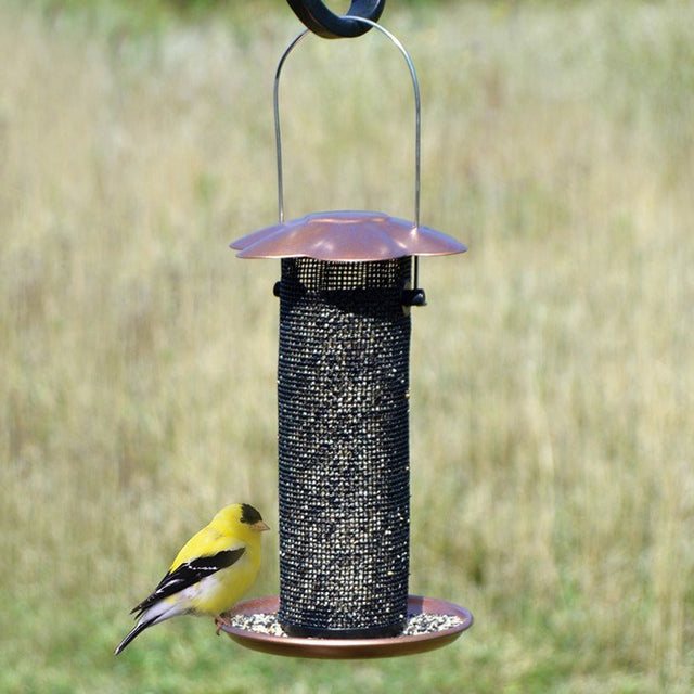 Petite Copper Thistle Feeder with a yellow bird perched on the mesh, showcasing the feeder's durable copper finish and built-in perching space.