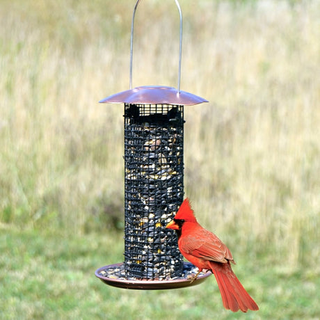 Petite Copper Sunflower Feeder with red bird perched, showcasing wire mesh openings and drainage tray for small birds.