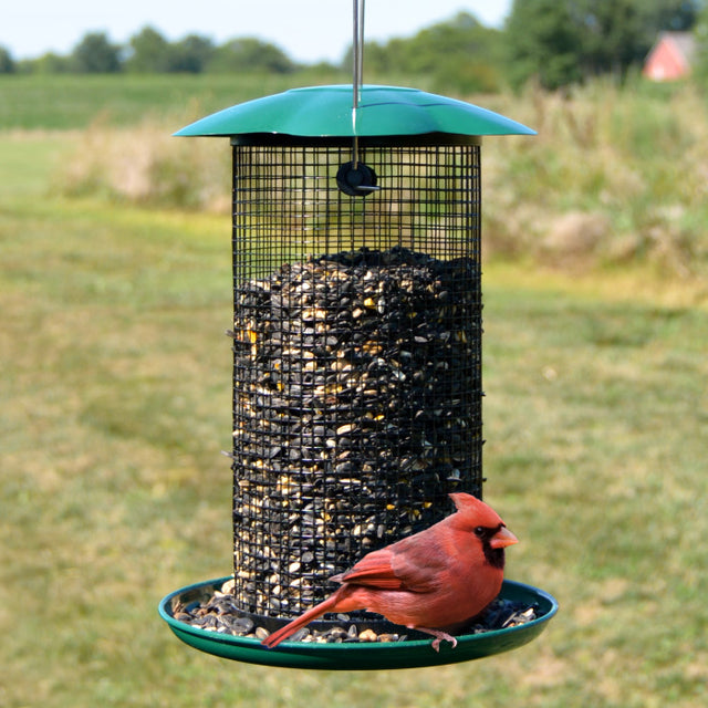 Mammoth Green Sunflower Feeder with wire mesh, roof, and built-in seed tray, attracting clinging and perching birds. Holds 3 lbs. of sunflower seeds.