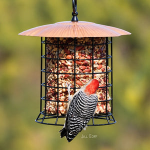Bird seed cylinder feeder made out of mesh wire with a nutsie log and a copper colored roof. A woodpecker is clinging and feeding with a green blurry background. 