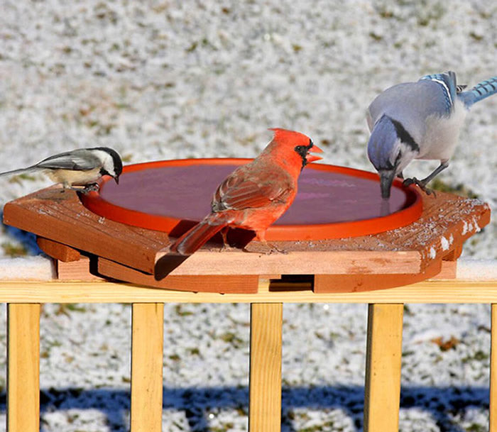 Cedar Heated Deck Bird Bath with a bird drinking, features a thermostatically controlled heater and insulated design for cold weather hydration.