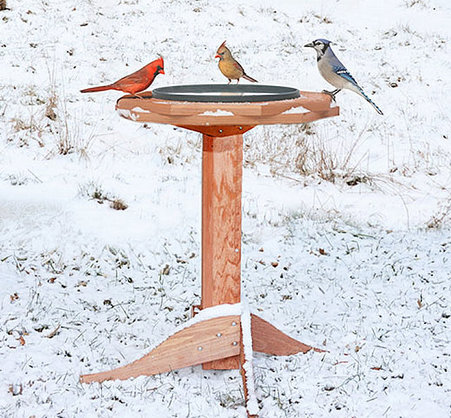 Western Red Cedar Heated Bird Bath in snow, with birds perched on the rim, showcasing its insulated, thermostatically controlled heating element for winter use.