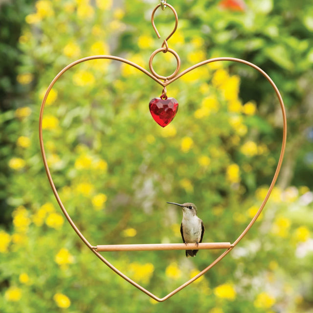 Tweet Heart Birdie Swing Copper Colored, featuring a metal heart shape with a wooden dowel perch, ideal for hummingbirds to preen and rest.