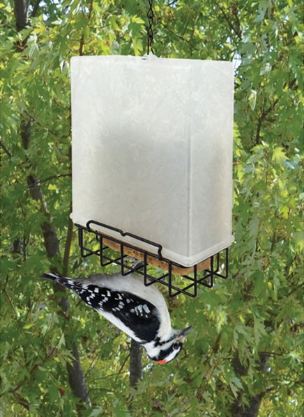 Suet Saver Feeder with a bird on it, designed to attract woodpeckers and chickadees. Features a metal wire grid and durable plastic top for easy cleaning.