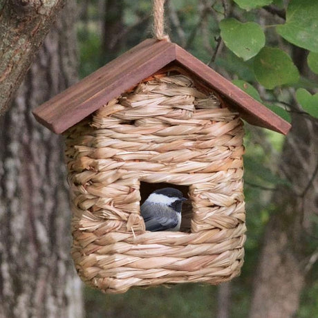 Hanging Grass Roosting Pocket with Roof, featuring a bird perched inside a natural reed grass structure, offering shelter and protection in windy and wet weather.