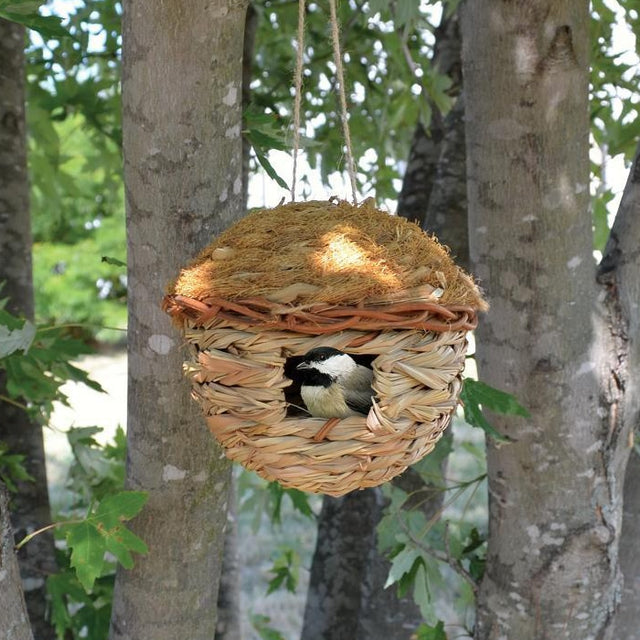 Round Hanging Grass Roosting Pocket: Bird perched inside a woven reed grass nest, hanging from a tree, offering shelter from cold, wet, or windy weather.