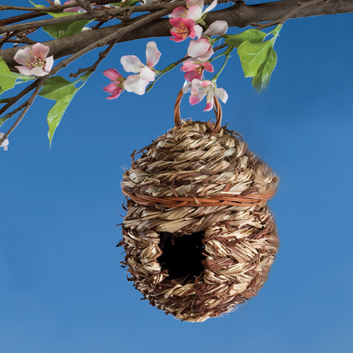 Acorn Hanging Roosting House made of woven organic reed grass, featuring a rough-hewn surface, hanging loop, and built-in drainage for bird shelter.