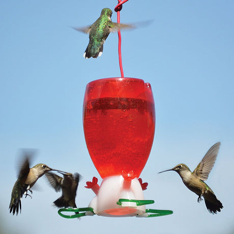 Big Red Hummingbird Feeder with three feeding stations, red plastic reservoir, white base, and green perches. Hummingbirds flying around it, attracted to the nectar inside.