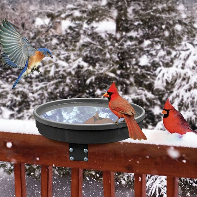 Songbird Spa Bath with a 75-watt heater, featuring red Cardinals and a swooping Bluebird, offers open water in snow-covered surroundings.