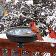 Songbird Spa Bath: Birds perched on a railing in winter snow, highlighting the heated birdbath's function to provide drinking water in freezing conditions.