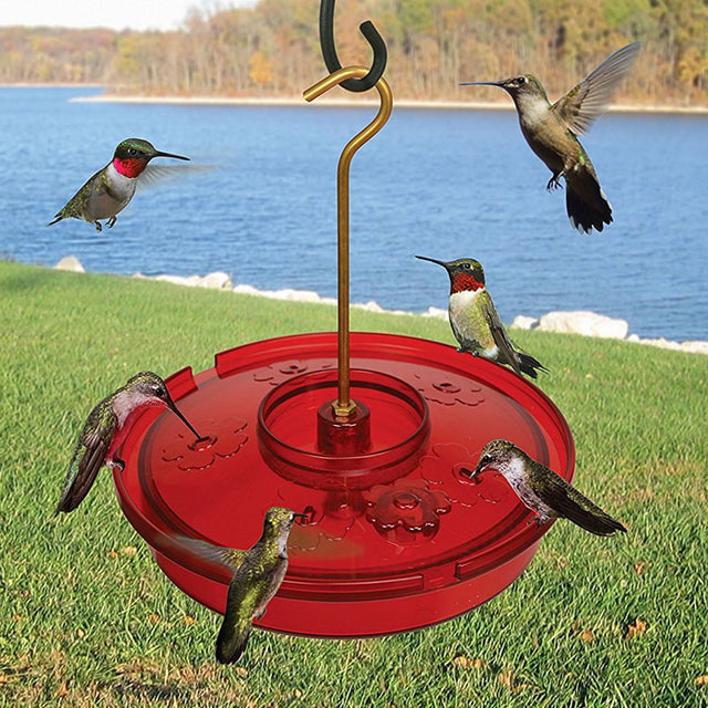 Hummingbird Haven Feeder with raised top filling port and wraparound perch, showing hummingbirds feeding and flying nearby.