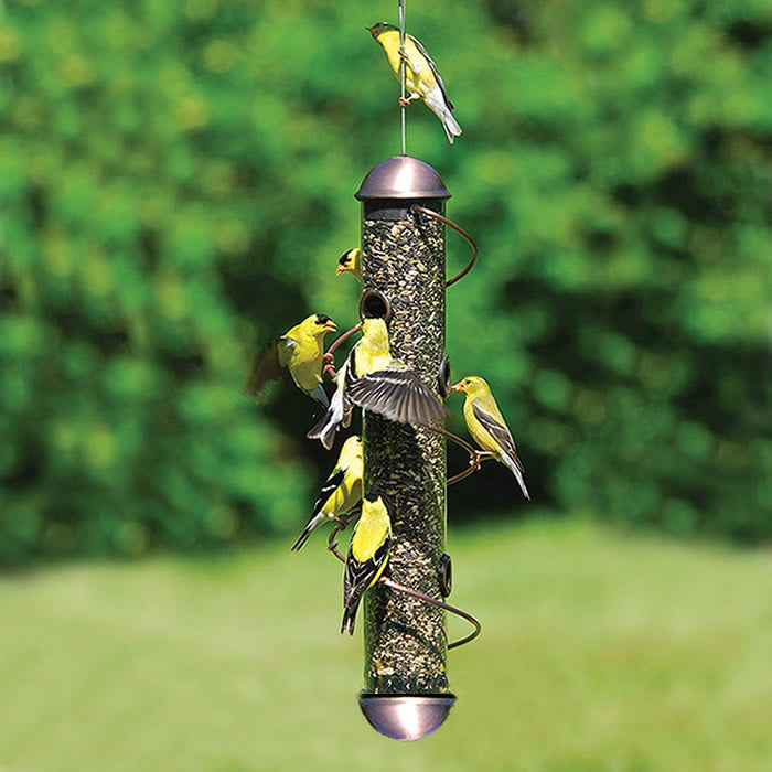 17 Copper Spiral Sunflower Seed Feeder with birds feeding on the spiral perch. Holds 1.5 lbs. of sunflower seeds, easy to clean and fill.