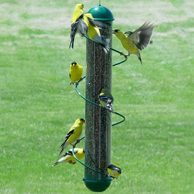 17.5 Green Spiral Finch Tube Feeder with multiple finches feeding on spiral perch, showcasing easy access feeding ports and clear plastic for seed visibility.