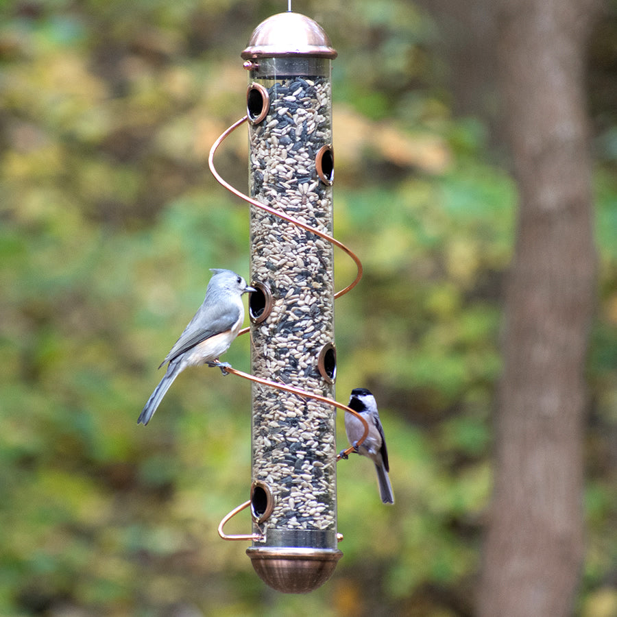 17 Copper Spiral Sunflower Seed Feeder with finches feeding on the spiral perch, featuring seven ports and a hanging cable.