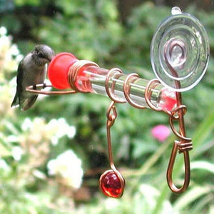 Window Hummingbird Feeder: A hummingbird feeds from a glass tube held by a copper wire frame with a red cap, mounted on a window via suction cup.