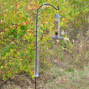 Squirrel Proof Spring Device on a bird feeder pole in a wooded area, featuring a spring-loaded mechanism to deter squirrels from climbing.