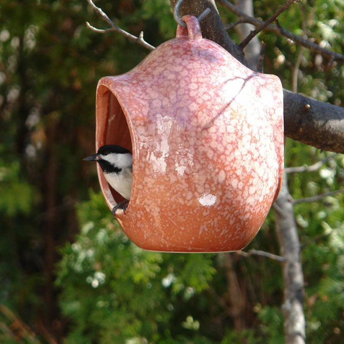 Egg Fly Through Feeder with a bird inside, showcasing its open, easy-to-fill design and built-in hanging loop for outdoor use.