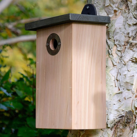 Cat Proof Bird Nester, a wooden birdhouse on a tree with a circular entrance hole, designed for predator resistance and easy maintenance.