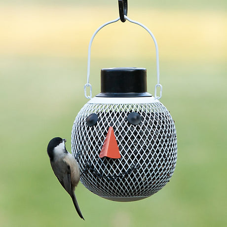 Solar Snowman Feeder: A bird perches on a festive snowman-shaped bird feeder with a face made of seeds, illuminated by a solar light and featuring a removable top hat.