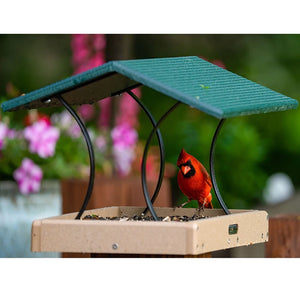 Birds Choice Medium Fly-Thru Green Roof feeder with a red bird perched on the platform, showcasing the feeder's sturdy construction and easy-clean seed tray.