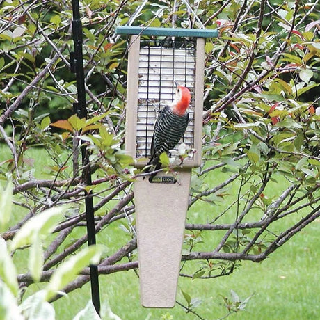 Recycled Double Cake Pileated Suet Feeder with green roof, featuring a woodpecker perched on it, designed for easy feeding and balance.