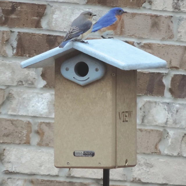 Recycled Ultimate Bluebird House with two bluebirds perched, featuring a raised floor, predator guard, and easy cleaning sides for bluebird trail maintenance.