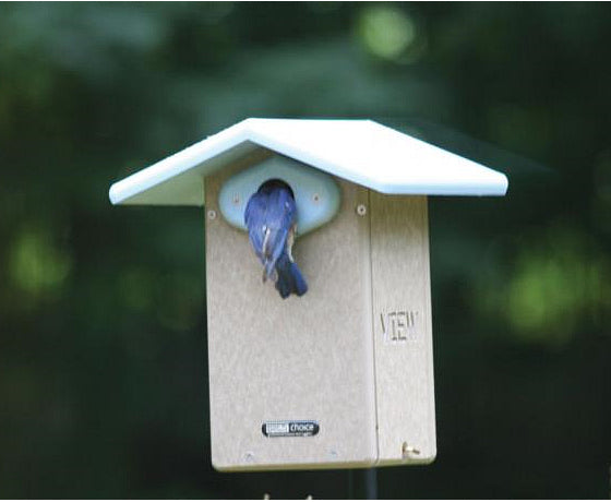 Recycled Ultimate Bluebird House featuring a bird in a birdhouse, designed for easy cleaning and protection, with a 1-1/2 inch entry hole.